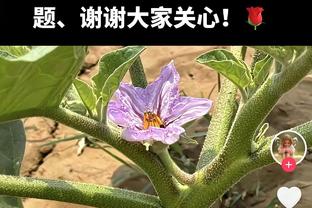 还算轻松！詹姆斯两节半达成三双 全场23分14板12助带队五连胜